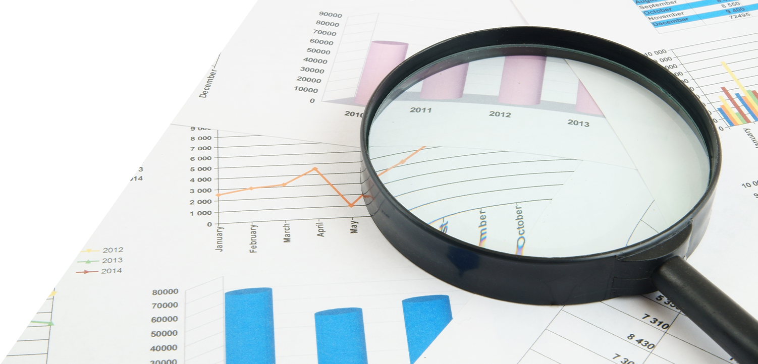 Due Diligence Report (1)